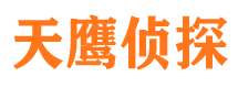 墉桥市侦探调查公司